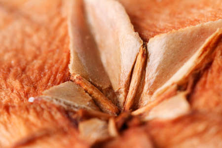 Abstract macro photo of a flower with shallow depth of field. Natural background.の写真素材