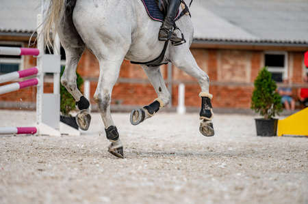 Detail of horse hooves from showjumping competition.の写真素材