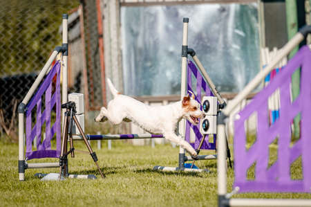 New building, architecture, tenement house. Real estate photo.の写真素材