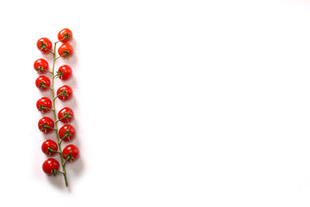 Ripe fresh Juicy organic cherry tomatoes on branch isolated on a white background.