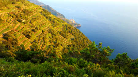 Beautiful wide panoramic view of Manarola town, Cinque Terre national park, Liguria, Italy. Is one of five famous colorful villages, suspended between sea and land on sheer cliffs.の写真素材