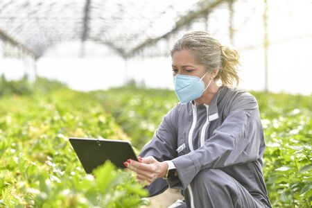Portrait of a female agronomist analysing the growth of plants on her tablet  in a greenhouse and wearing her protective mask against the coronavirusの写真素材