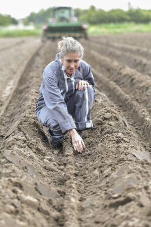 Agronomist analyses the soil before plantingの写真素材