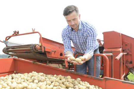 Farmer harvests his potatoesの写真素材