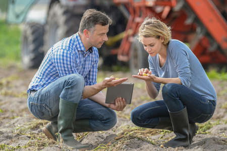 Woman and man checking seeds in a farmの写真素材