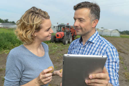 Couple of agronomists analyzes the potatoes harvesting data in a fieldの写真素材