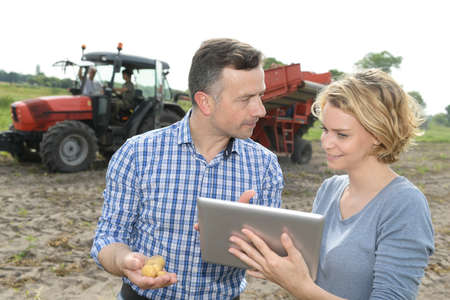 Couple of agronomists analyzes the potatoes harvesting data next to the tractor in a fieldの写真素材