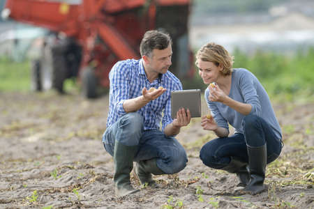 Couple of agronomists analyzes the potatoes harvesting data next to the tractor in a fieldの写真素材