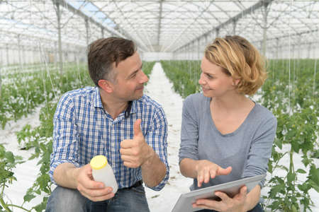Couple of farmers satisfied by the fertilized vegetables in the greenhouseの写真素材