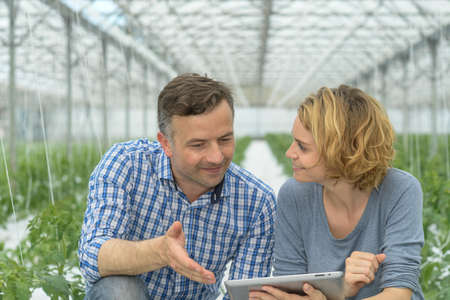 Young couple agronomist analyzes greenhouse performance with tabletの写真素材