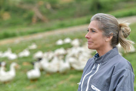 Portrait of a woman standing in the middle of her duck farm in a fieldの写真素材
