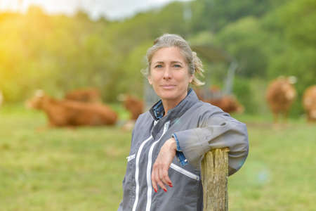 Portrait of a cattlewoman standing beside her cowsの写真素材