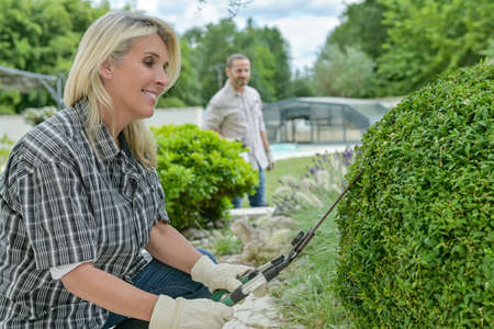 Woman gardening in front of her house, pruning boxwoods, treating plantsの写真素材