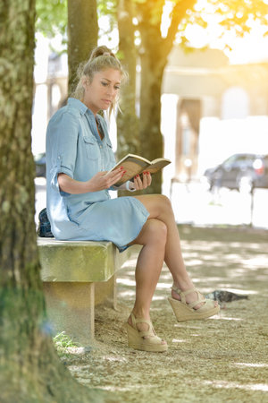 Woman doing a break outdoors in a park, setting on a bench and reading a bookの写真素材