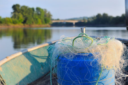 Lampreys fishing on a riverの写真素材