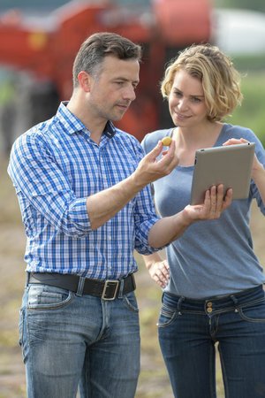 Couple of Farmer analyzes the potatoes harvesting data next to the tractor in a fieldの写真素材