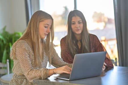 Young female friends are attending at a webinar on their laptop during the lockdownの写真素材