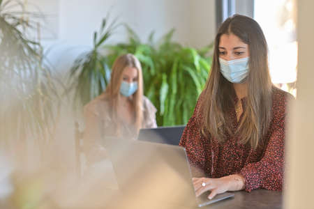 Young women friends wearing a protective mask while they are working at home and attending at a webinar on their laptop during the lockdown due to the coronavirusの写真素材