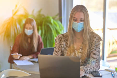Young twin sisters are stuying together at home and are wearing protective mask due to the covid-19の写真素材