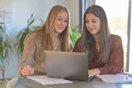 Young twin sisters are attending at a elearning lesson on their laptop during the lockdown due to the covid-19の写真素材