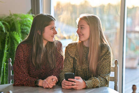 twin sisters are browsing on their mobile at home or are chatting with their friends on a social network with a mobile applicationの写真素材