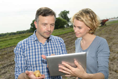 Couple of agronomists analyzes the potatoes harvesting data next to the tractor in a fieldの写真素材