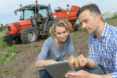 Couple of agronomists analyzes the potatoes harvesting data next to the tractor in a fieldの写真素材