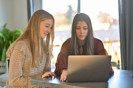 Young female friends are attending at a webinar on their laptop during the lockdown due to the virusの写真素材