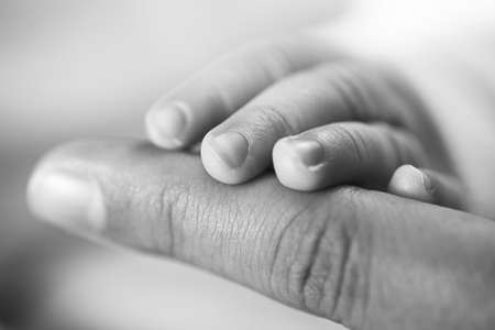 Baby and mother hands togetherの写真素材