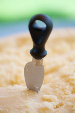 catering food for weddingの写真素材