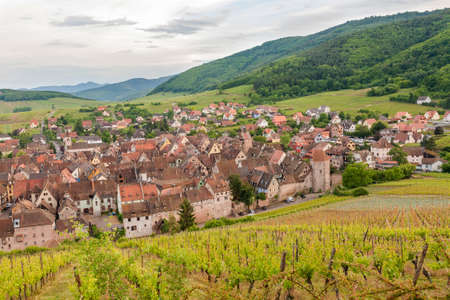View of Riquewihr village in Alsace, Franceの写真素材