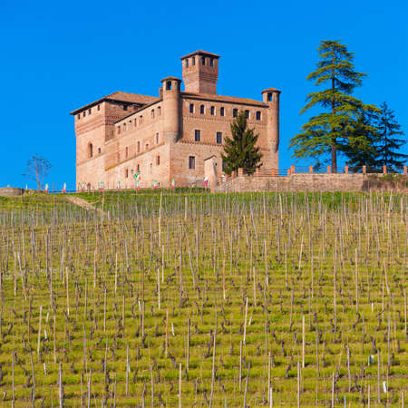 Medieval castle of Grinzane Cavourのeditorial素材