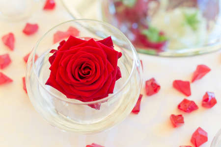 Fancy table set for a wedding dinnerの写真素材