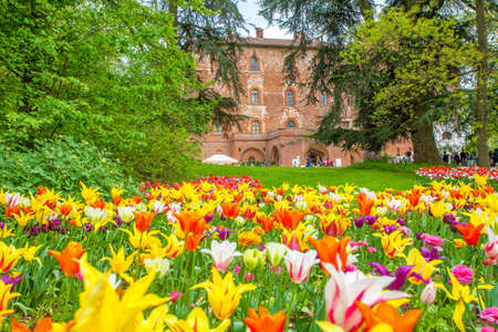 Turin, Piedmont ,Italy, 25 April 2013. Castle of Pralormo, beautiful garden tulips in Turin, Piedmont, Italyのeditorial素材