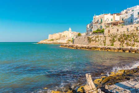 View of Vieste in Apulia region, south Italyの写真素材
