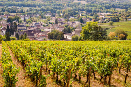 September 16, 2019. View of Santenay village in Burgundy, France.のeditorial素材