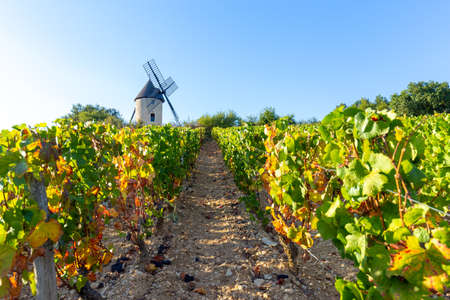 September 15, 2019. View of Sorine Mill in Burgundy, France.の写真素材