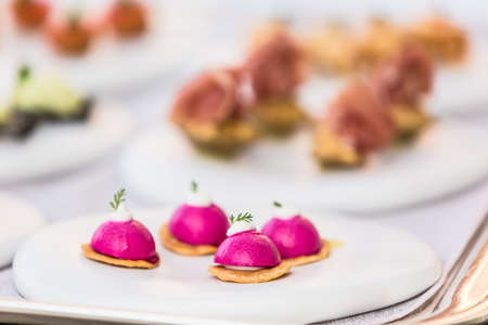 cheese and meat assortment appetizers and finger foodの写真素材