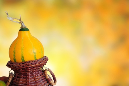Decorative pumkin on autumn backgroundの写真素材