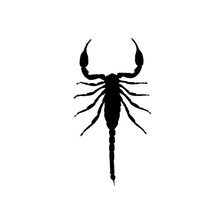 scorpion icon. Simple style scorpion poster background symbol. Scorpion brand logo design element. Scorpion t-shirt printing. vector for stickers.のイラスト素材