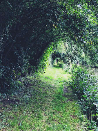 Archway pathの素材