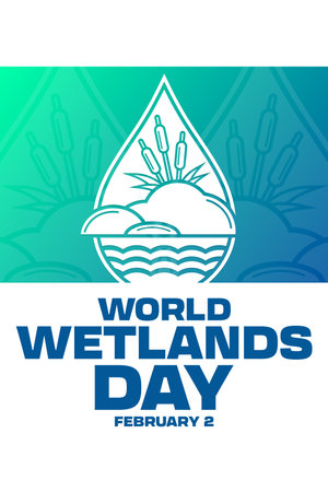 World Wetlands Day. February 2. Vector illustration. Holiday poster.のイラスト素材