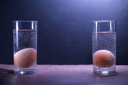 Space Eggsの写真素材