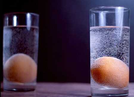 Eggs 2の写真素材