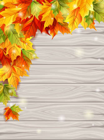 Autumn leaves on the background light wooden boards, maple leaves decorative design template set. Vector illustration.のイラスト素材