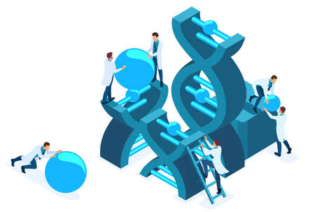 Isometric genetic engineering, DNA structure, medical workers, scientists. Concept for web design.