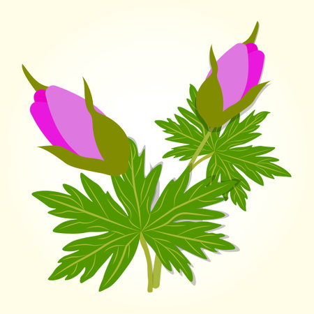 Purple buds with green leaves isolated on a light beige background.のイラスト素材