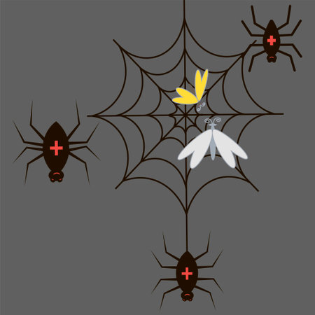 Black spider and scary spiderweb of Halloween symbol on a gray backgroundのイラスト素材
