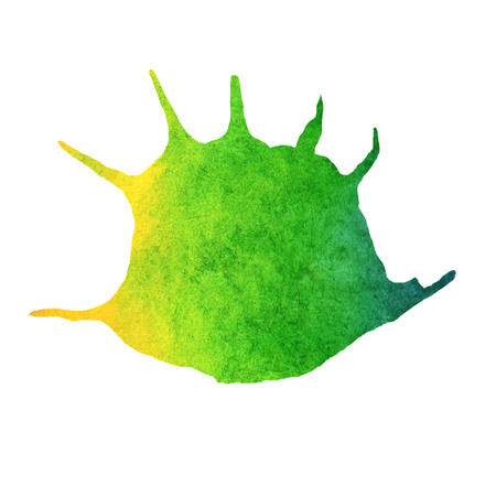 Watercolor summer illustration. Hand-painted rainbow fishes and shells on white backgroundの写真素材