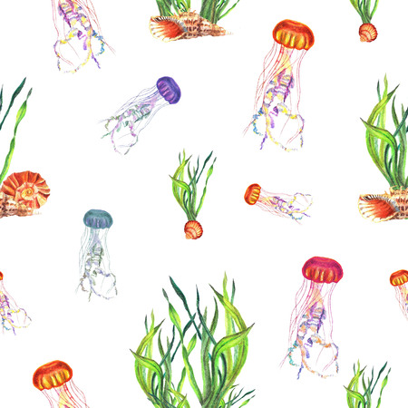 Watercolor hand painted seamless pattern of motley medusas on white backgroundの写真素材